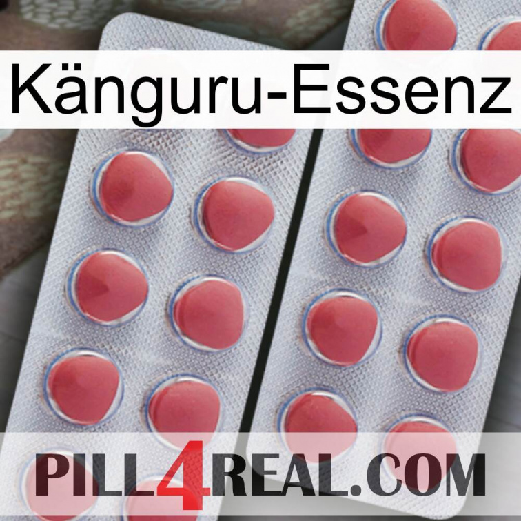 Känguru-Essenz 19